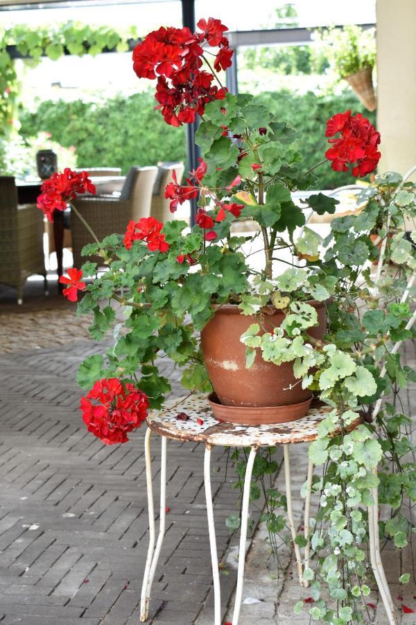 De Oude Limonadefabriek Bed & Breakfast Beek  Exterior photo